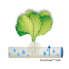 grow_stream_tube_2