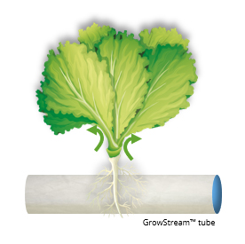 grow_stream_tube_3